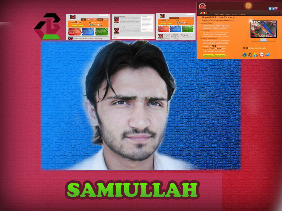 Sami Ullah's profile picture