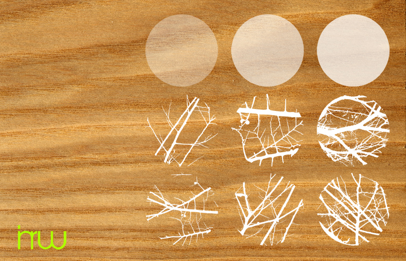 Ian Withers's profile picture