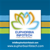 Euphorbia Infotech