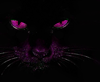 PinkPanther