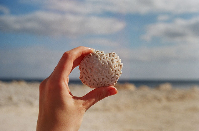 coralheart's profile picture