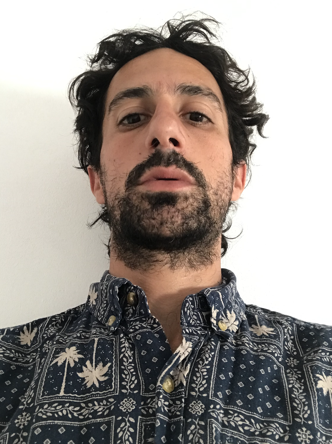 gastonschubert's profile picture