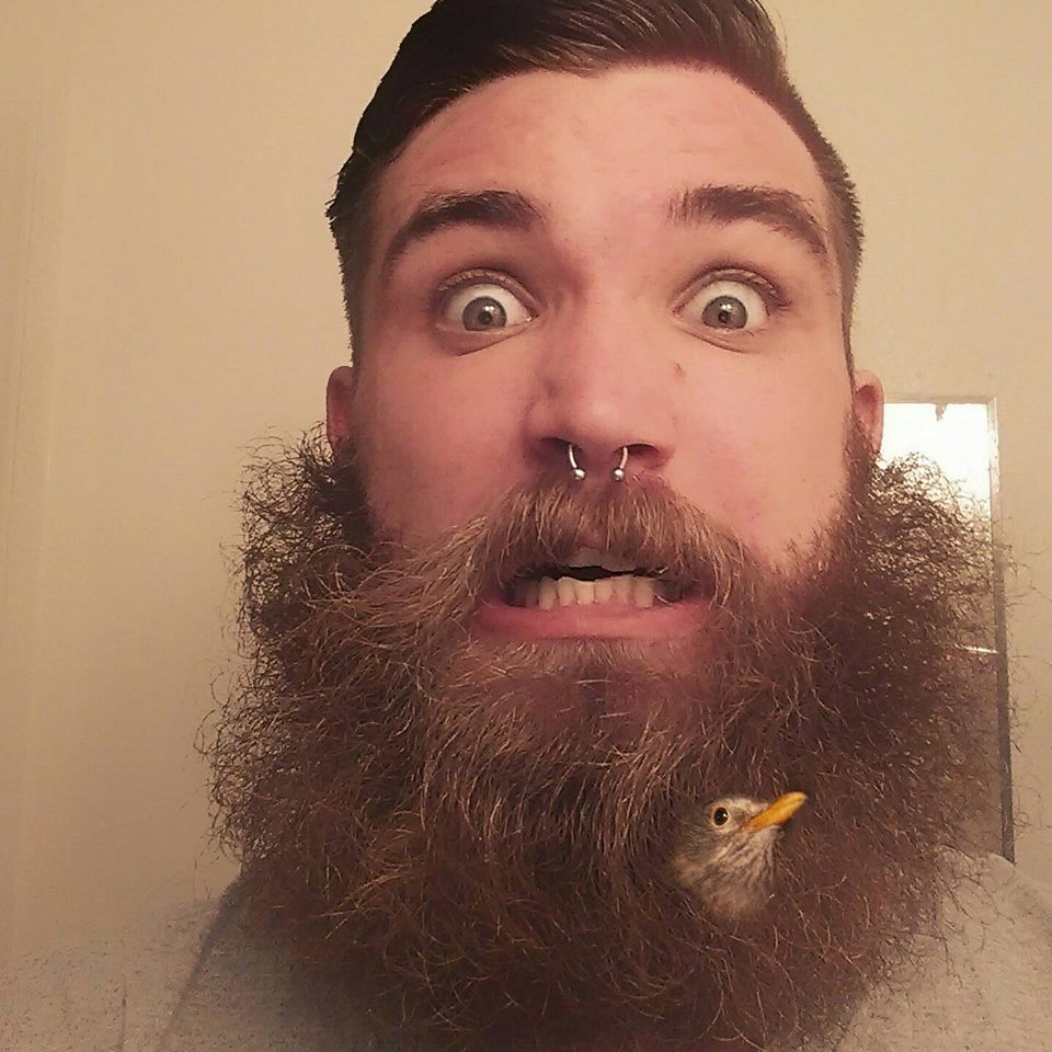 JHale2244's profile picture