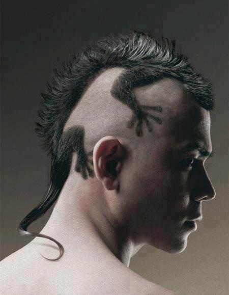 BlackLizard's profile picture