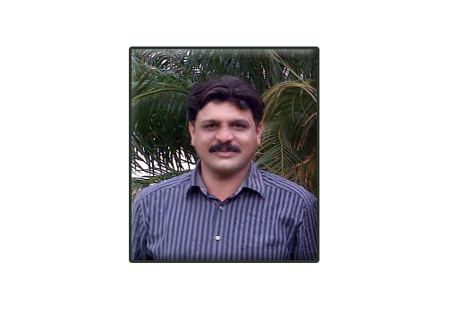 Netzonpk's profile picture