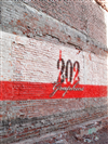 202Graphics