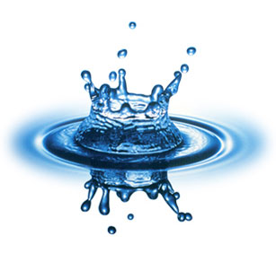 WebshellTechnology's profile picture