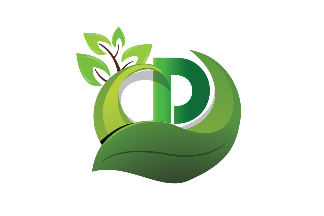 Dreamtree Media's profile picture