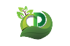 Dreamtree Media