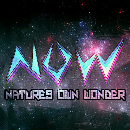 Somto Ajuluchukwu's profile picture