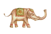 mbuti's profile picture