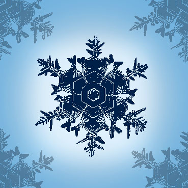 Wynter's profile picture