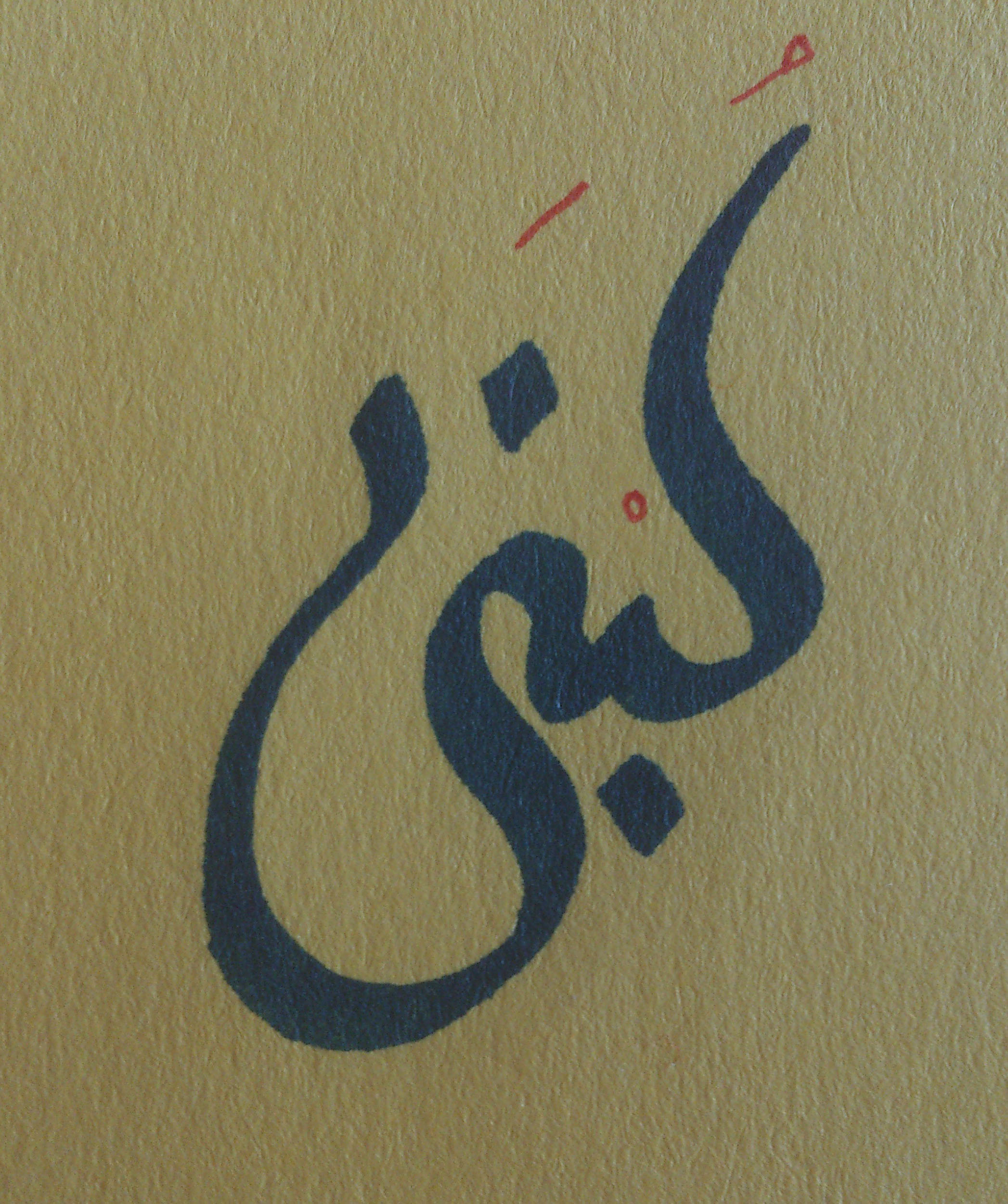 Lobna Saleh's profile picture
