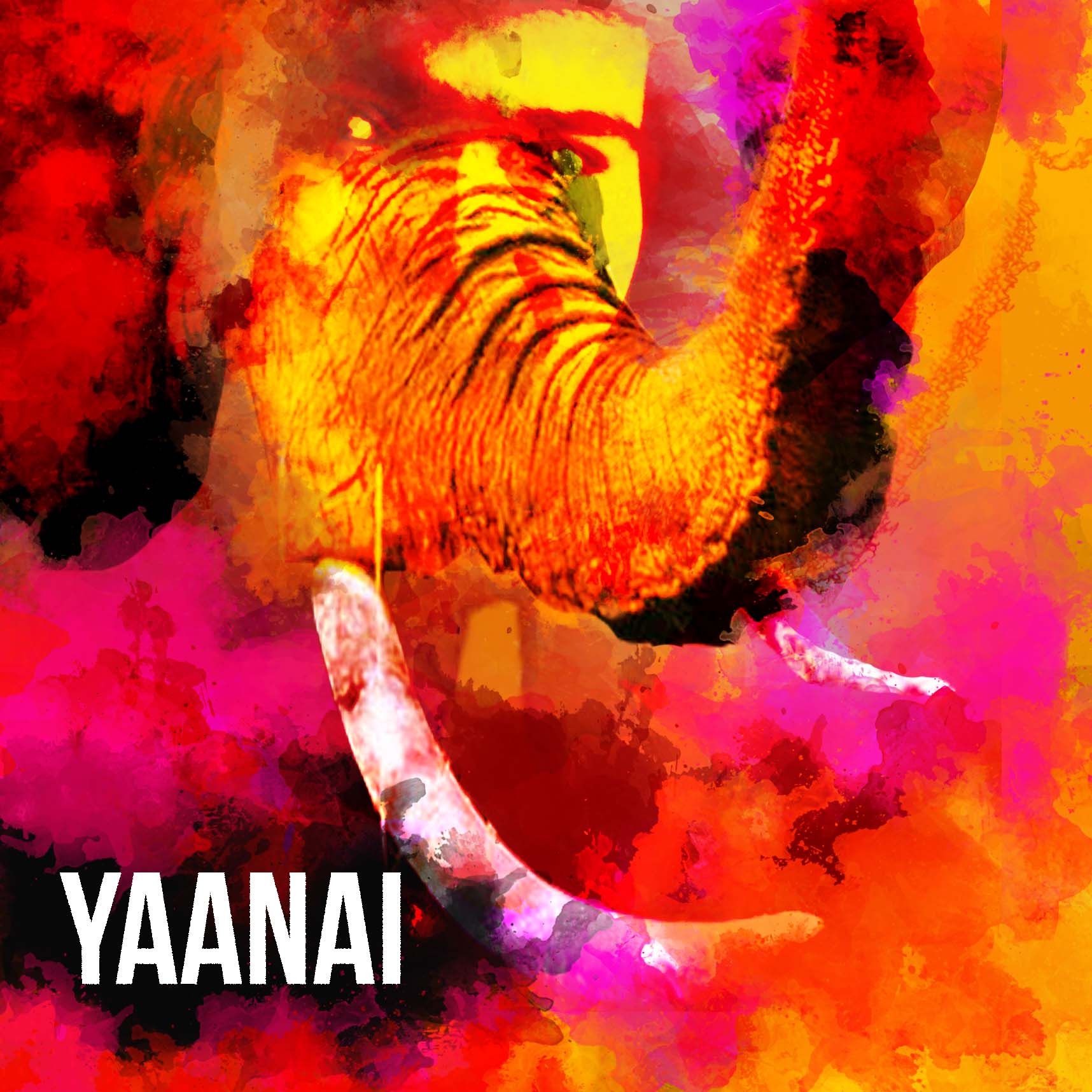 Pravekha's profile picture