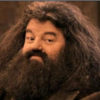 Hagrid