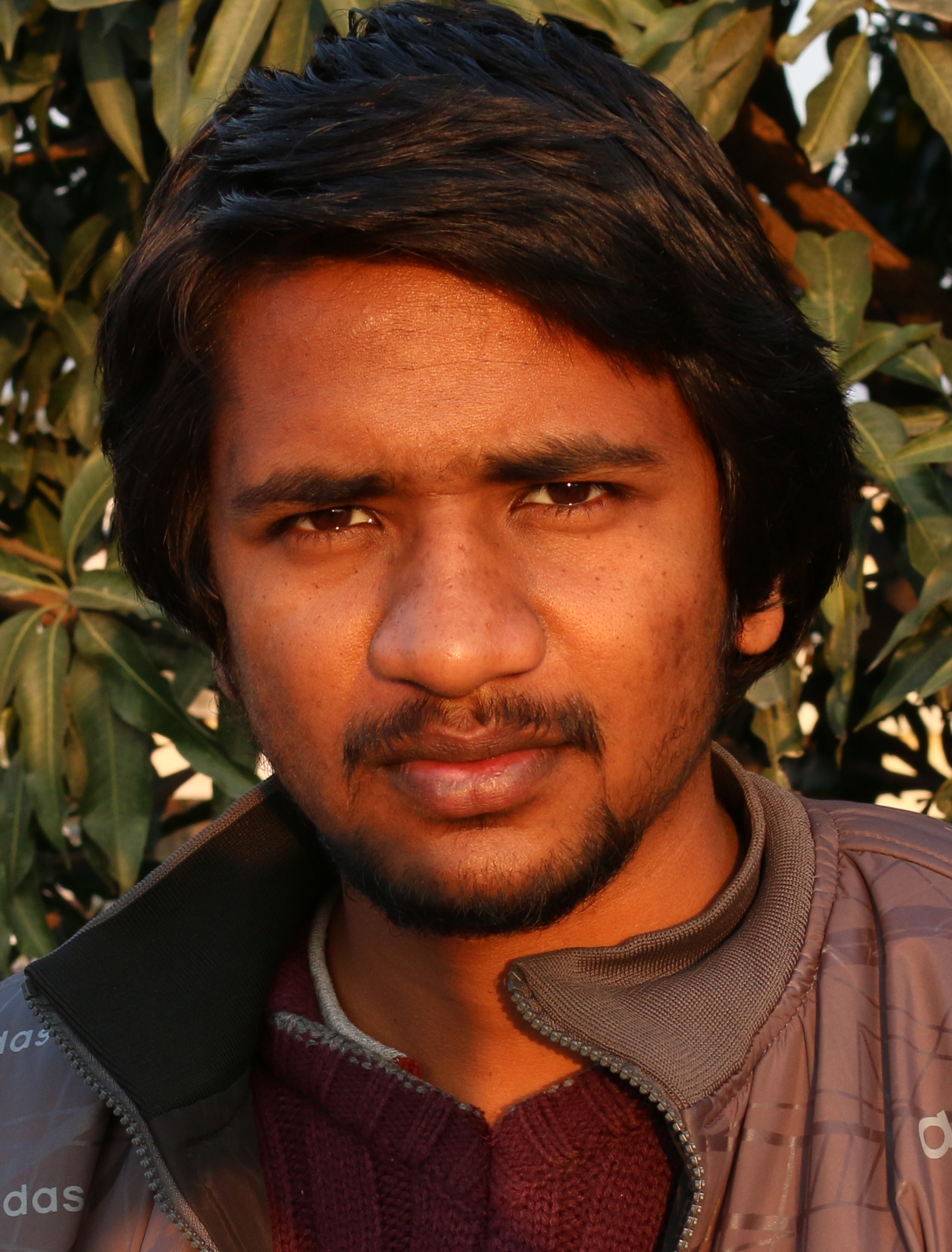 Bhupendra's profile picture