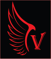 Vikworks's profile picture