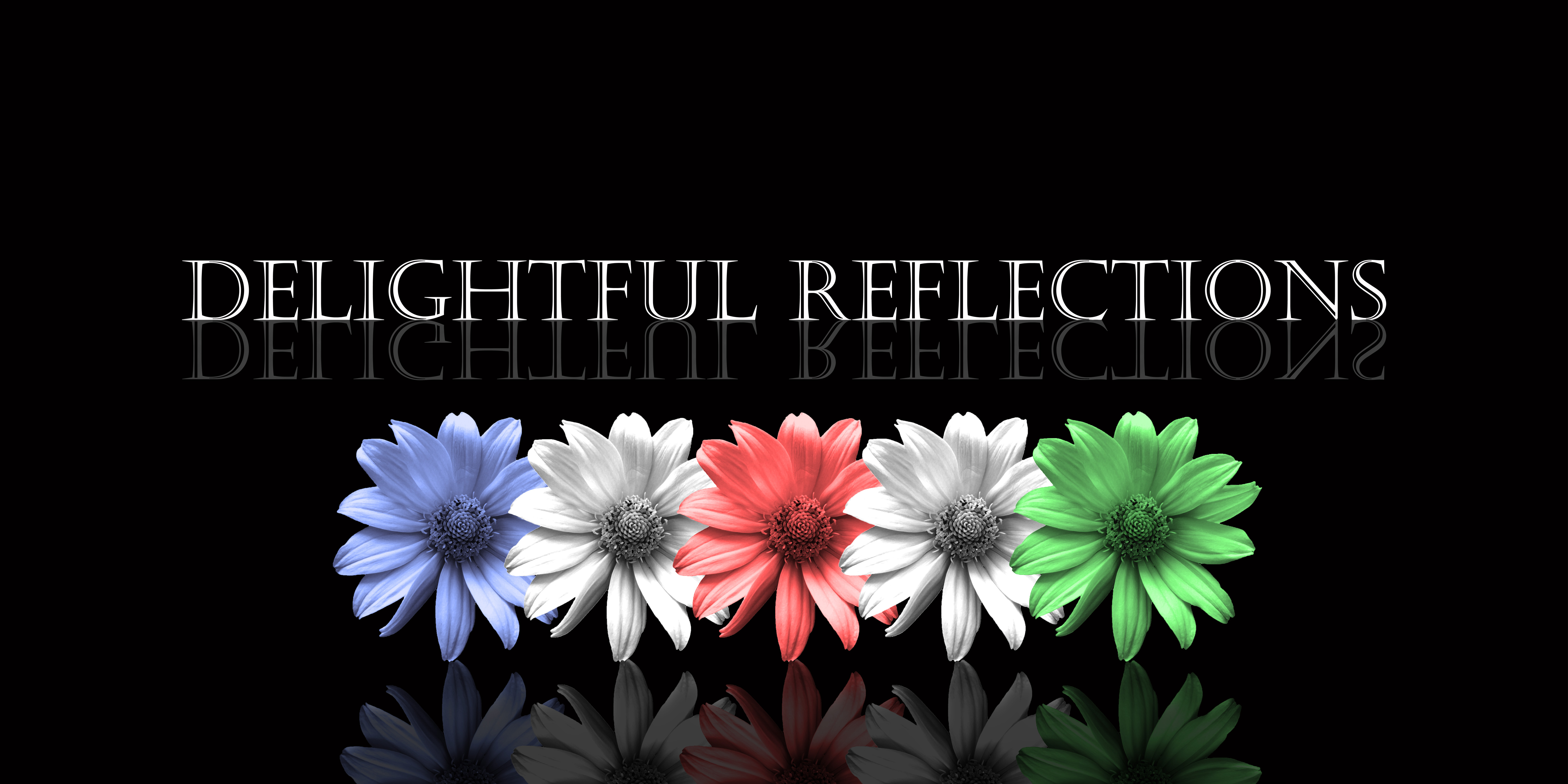 Delightful Reflections's profile picture