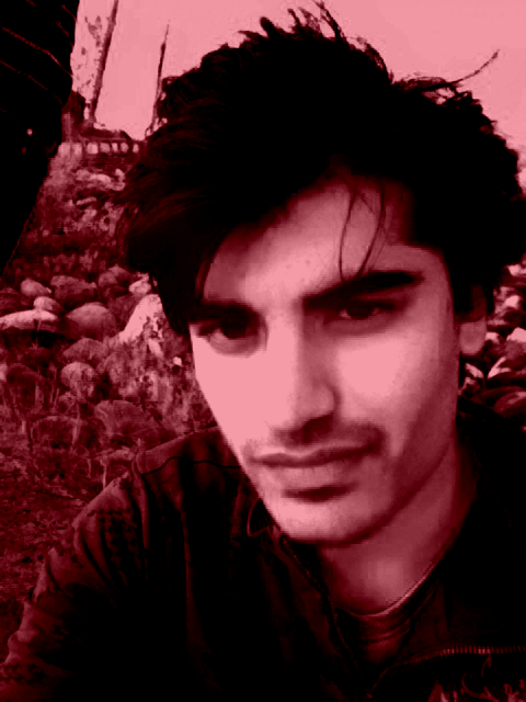 Leo's profile picture