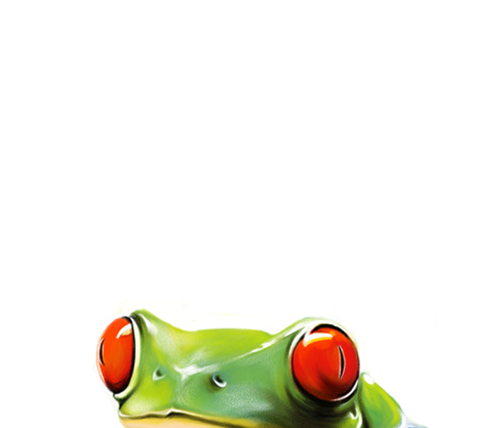 TeaBiscuit's profile picture