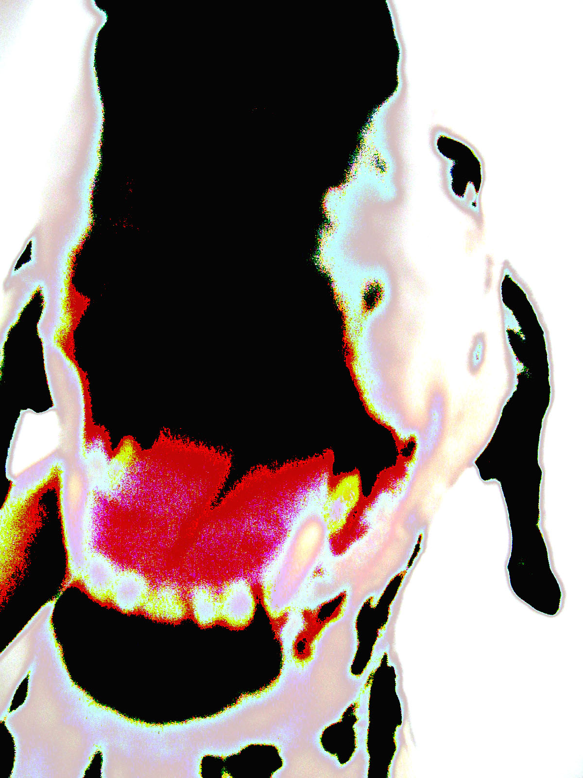 the ink co.'s profile picture