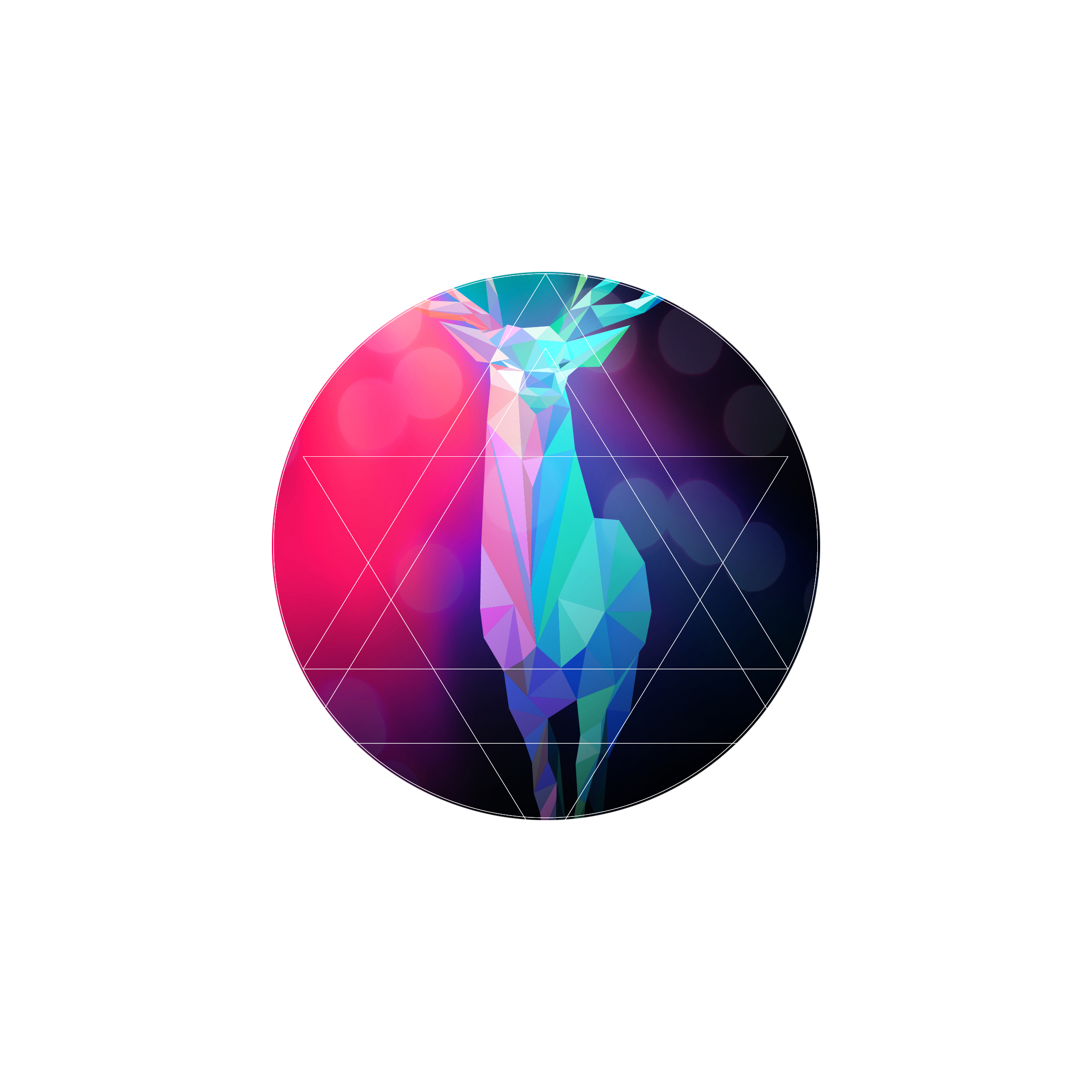 Mariana Ponte's profile picture