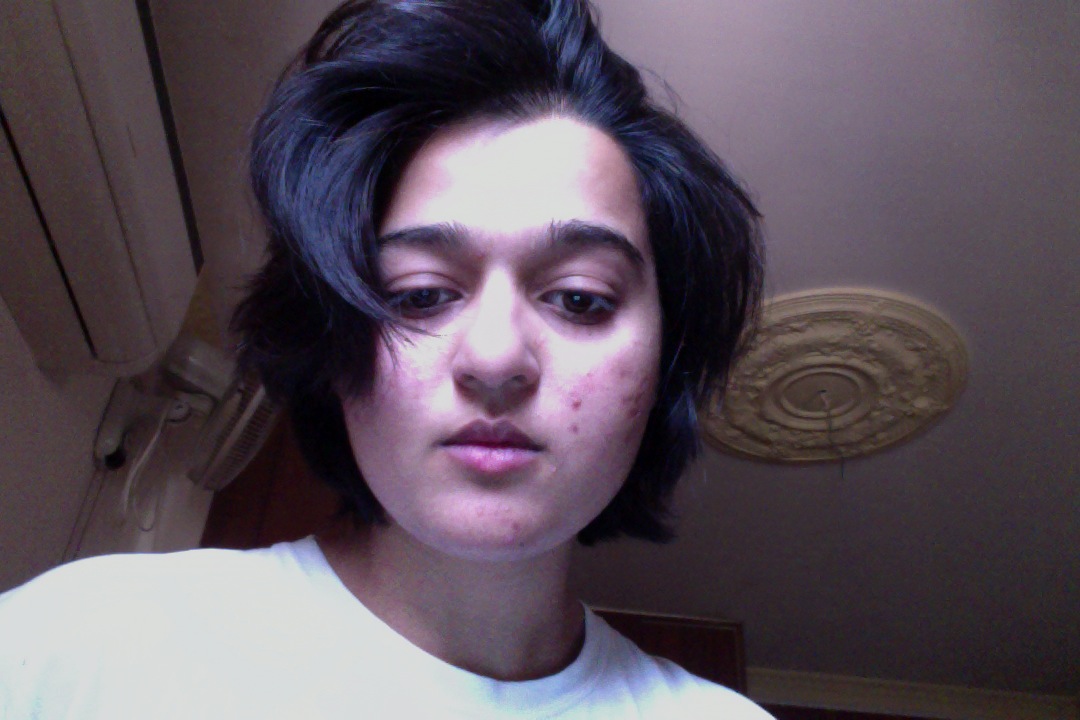 Gerbera's profile picture