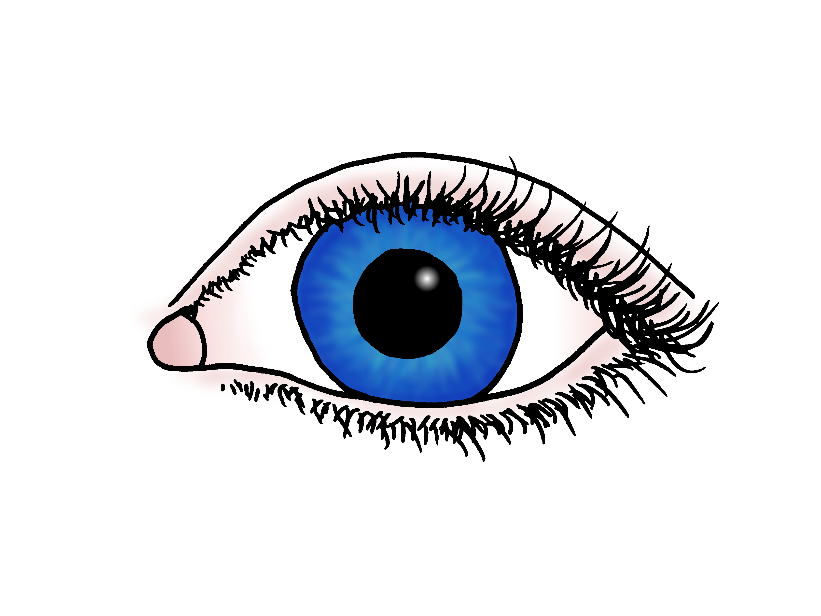 elinE's profile picture