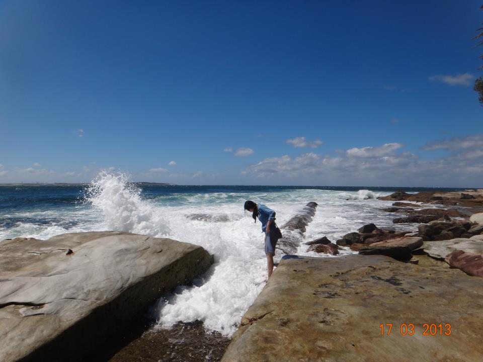 The Thai's profile picture