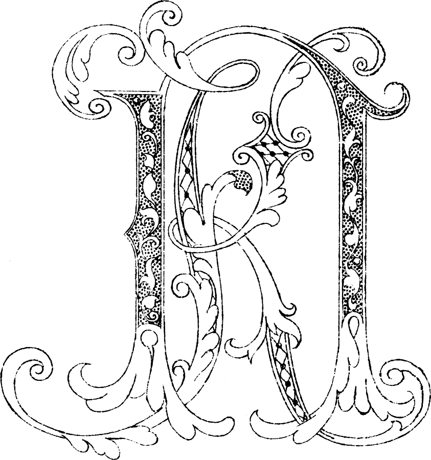 KN Designs's profile picture