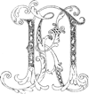 KN Designs