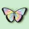 lavanya_loginchange