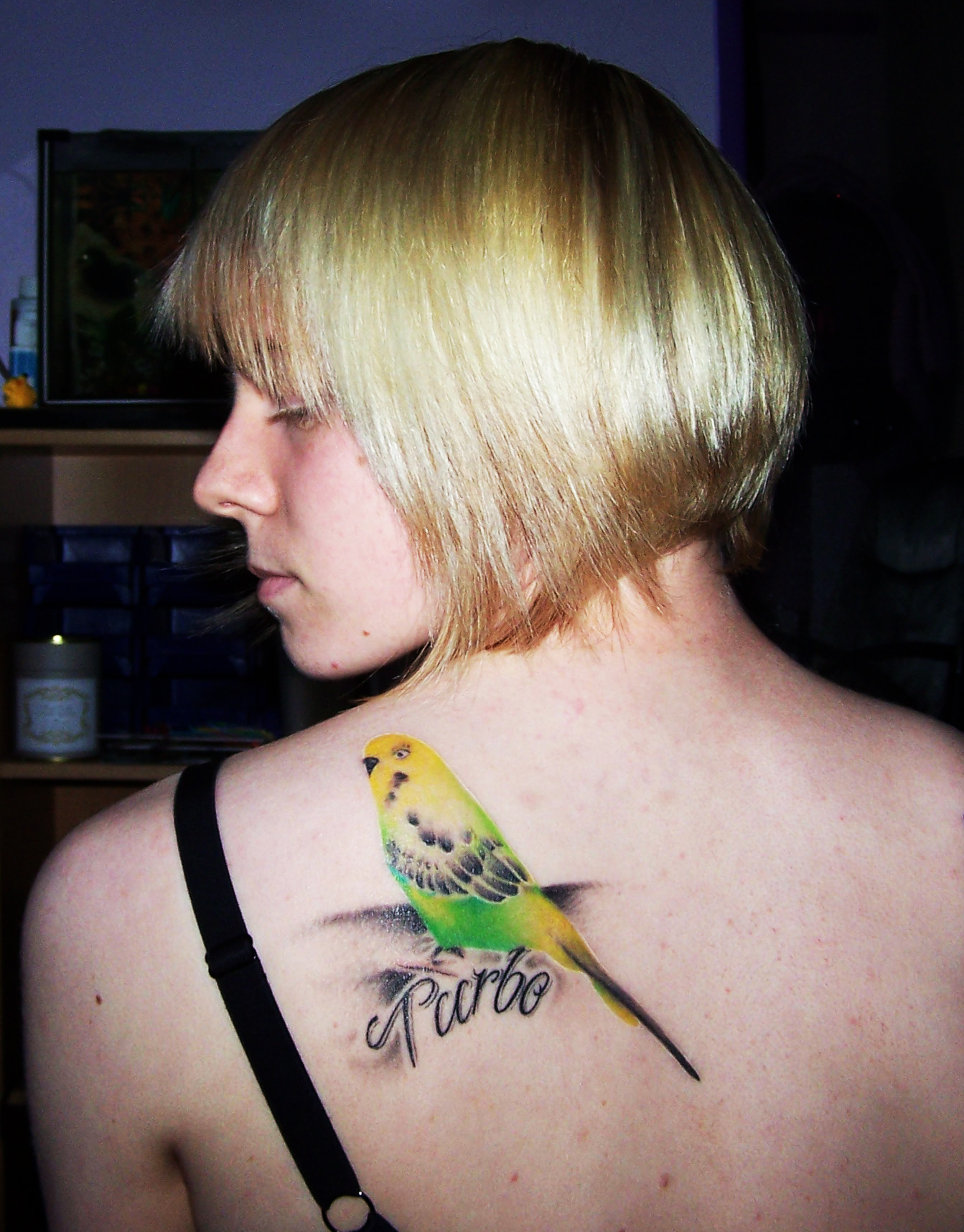 shadowfallx's profile picture