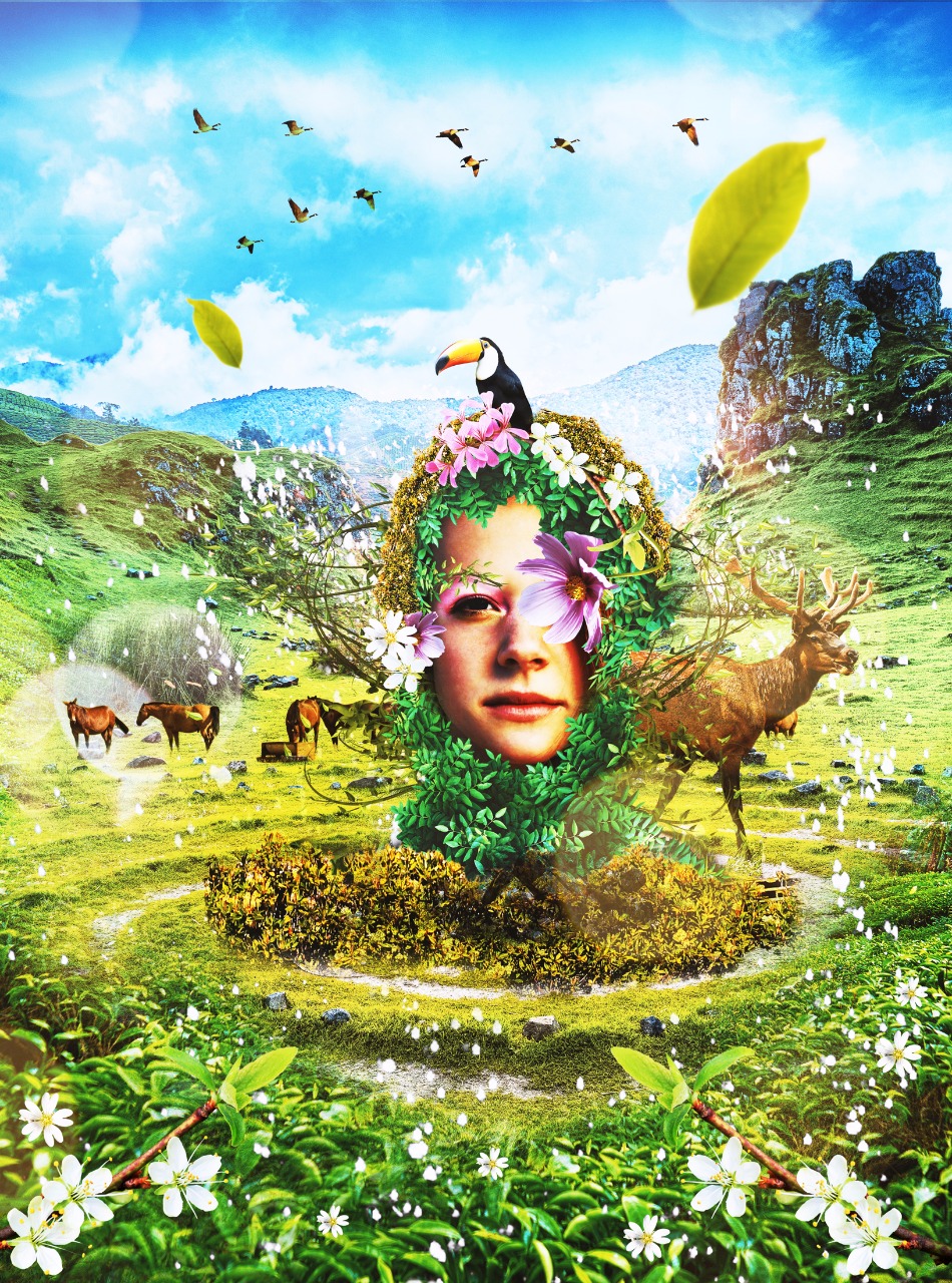 Pamela Woest's profile picture