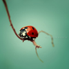 Anaida's profile picture