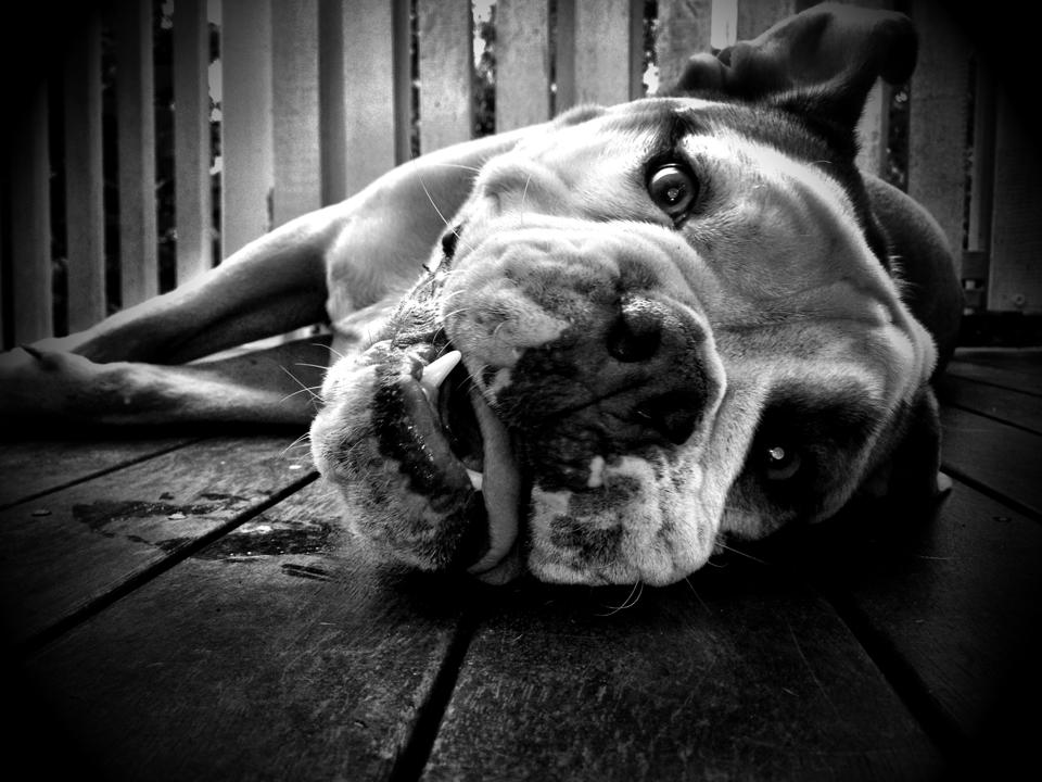 Ramjet 's profile picture