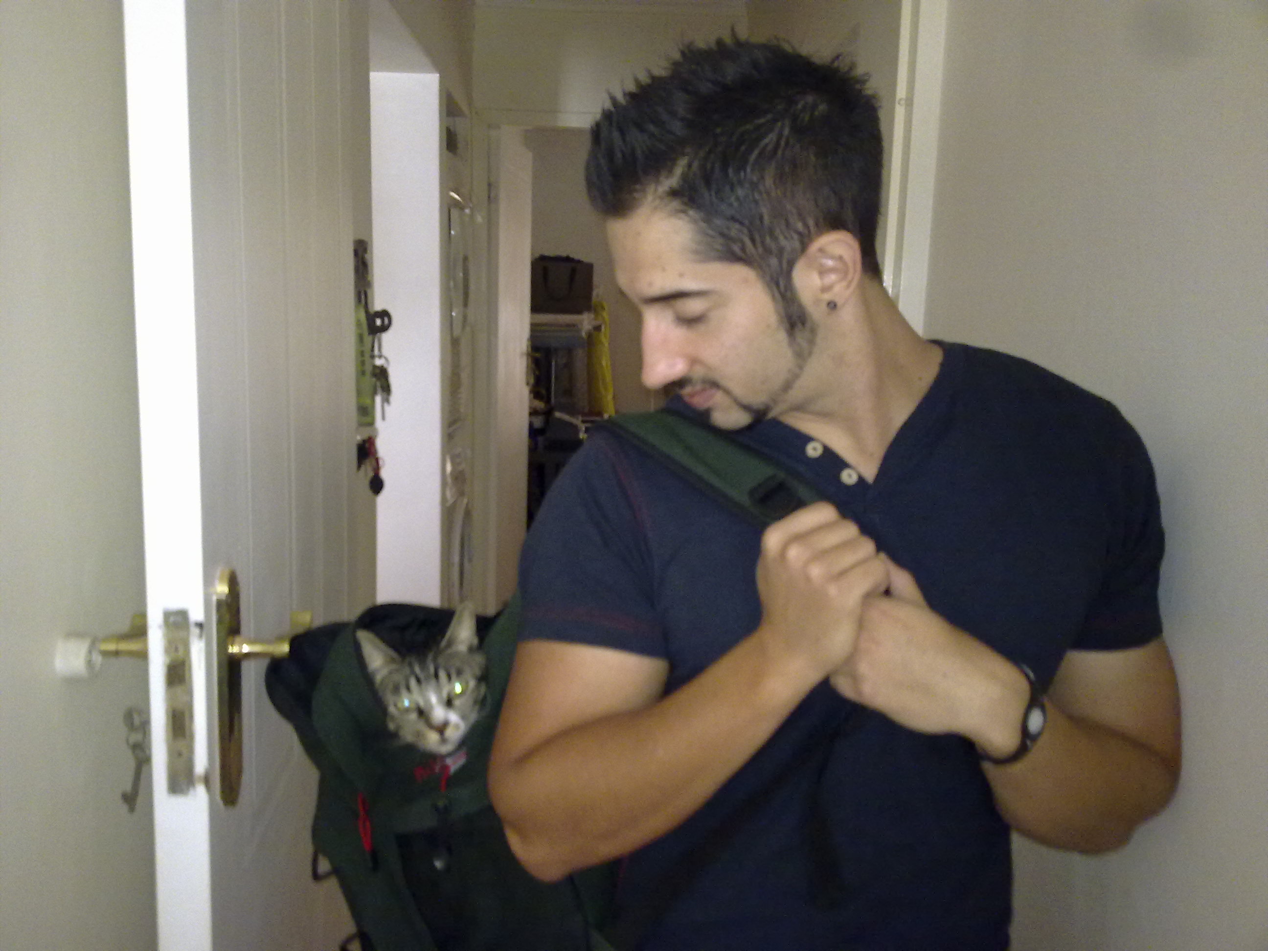 Luis de Almeida's profile picture