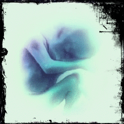 shomyshomy's profile picture