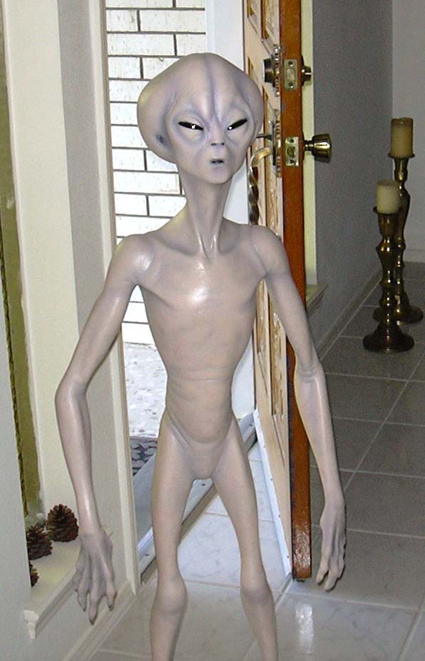 Alien Radicals's profile picture