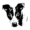 Spotted Dog Design