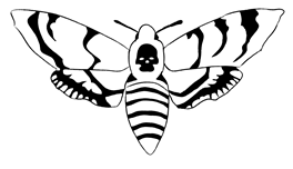 Zed's profile picture