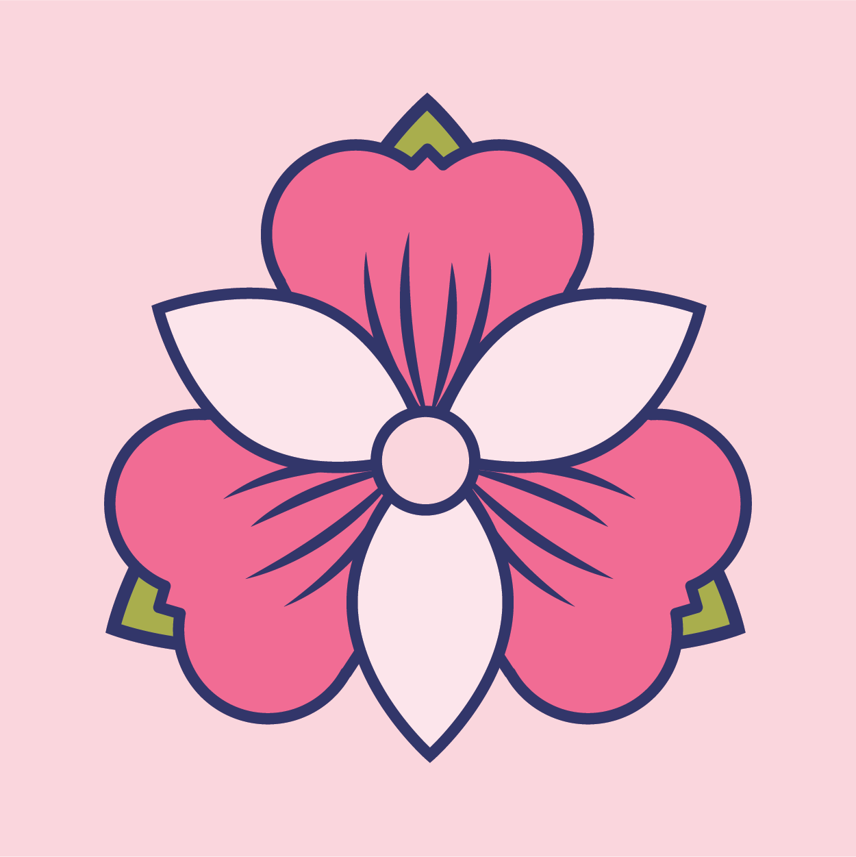 Alstroemeria's profile picture