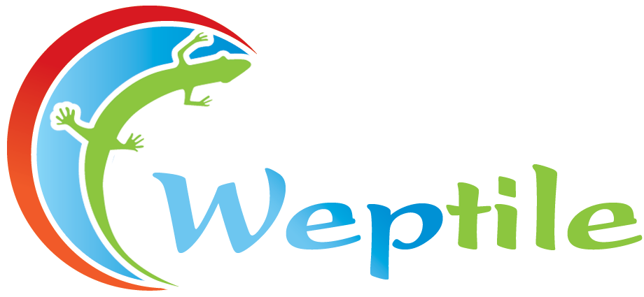 Weptile's profile picture