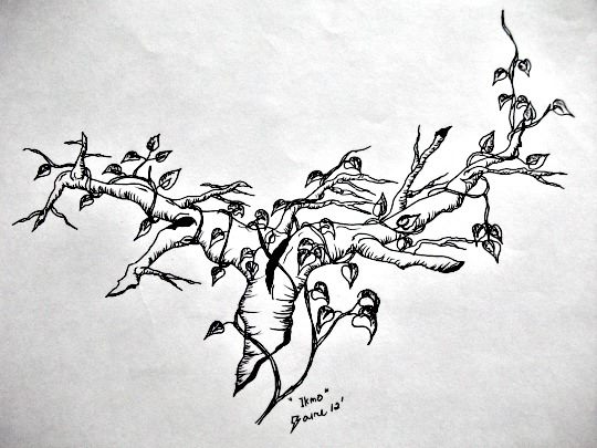 kimkim's profile picture