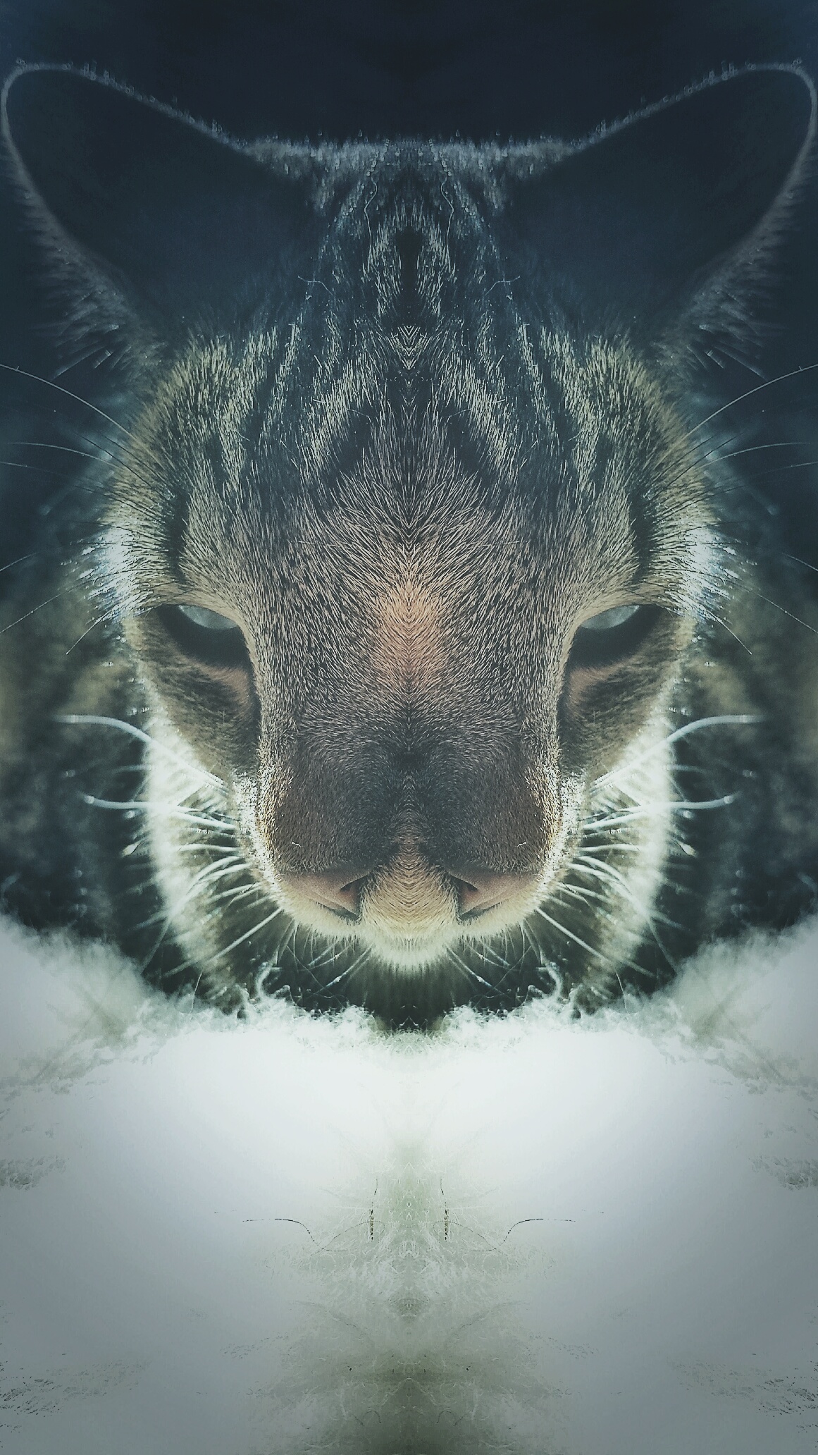 sunder's profile picture