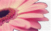 Melange Paperie Design