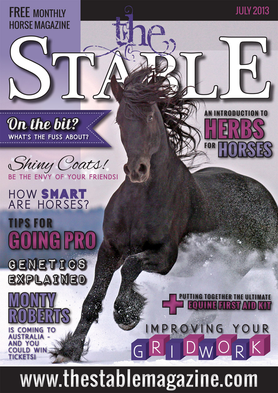 TheStableDesign's profile picture