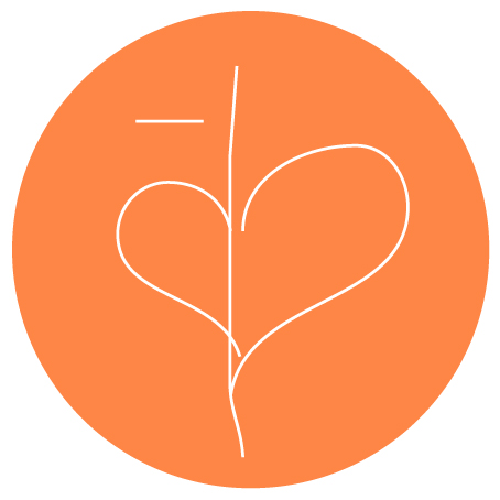 amore's profile picture