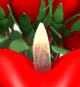 arts's profile picture