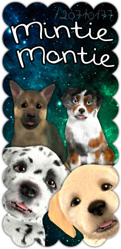 MintieMontie's profile picture